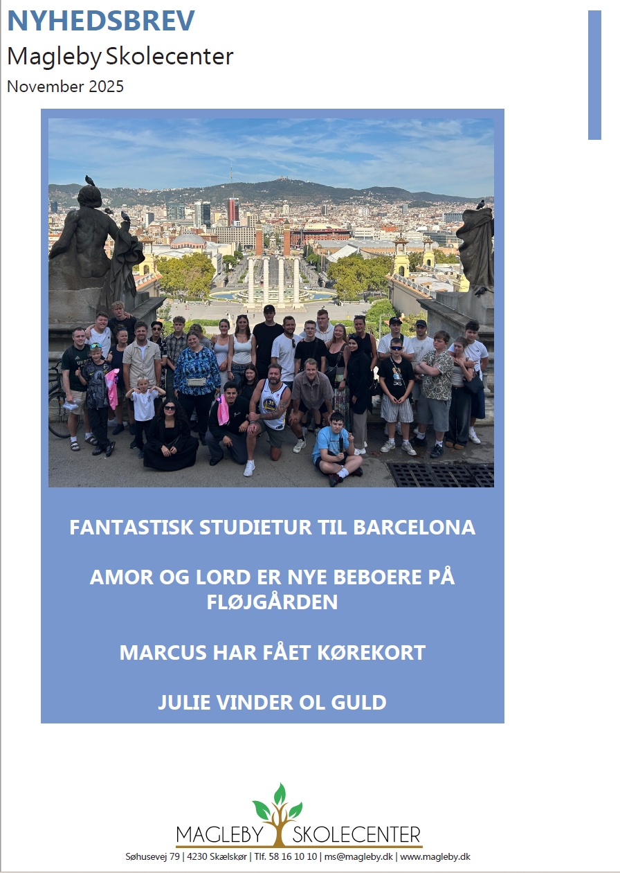 Skærmbillede 2025-11-17 104443 - Botræning Magleby Vores Nyhedsbrev